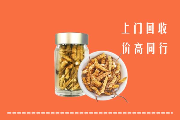 附近收购：那曲回收冬虫夏草